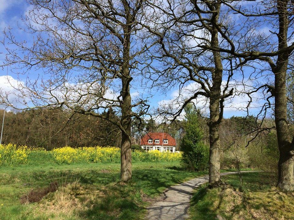 B&B De Zulthe Roden Exteriér fotografie